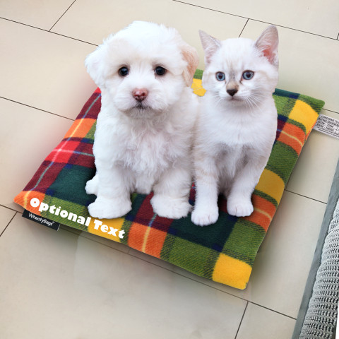 (34cm x 34cm) and Removable Cover - Natural Cotton Fabric