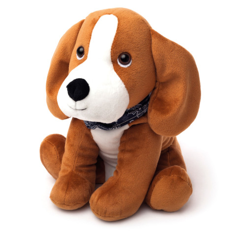 - Beagle