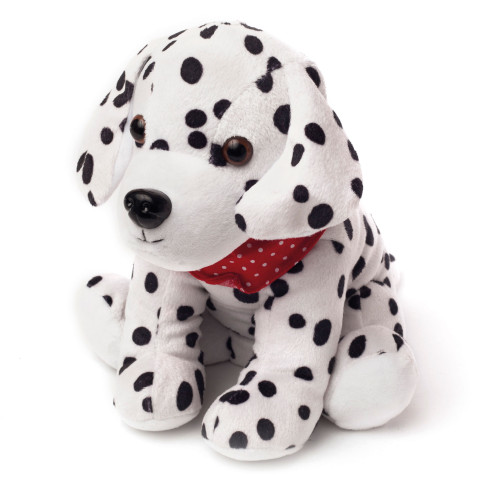 - Dalmation